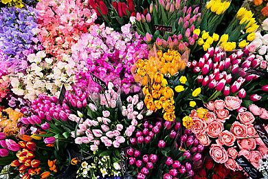 《森林之子》能看女野人伙伴洗澡 可以自由搭建房屋